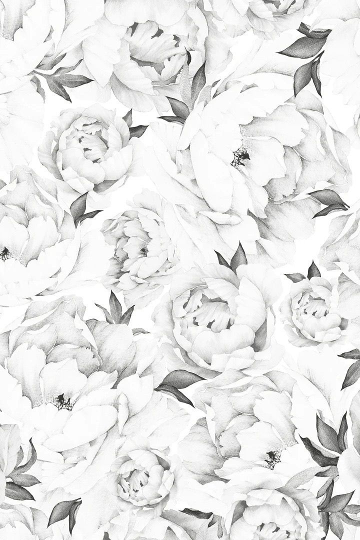Large Black and White Peony Floral Wall Mural