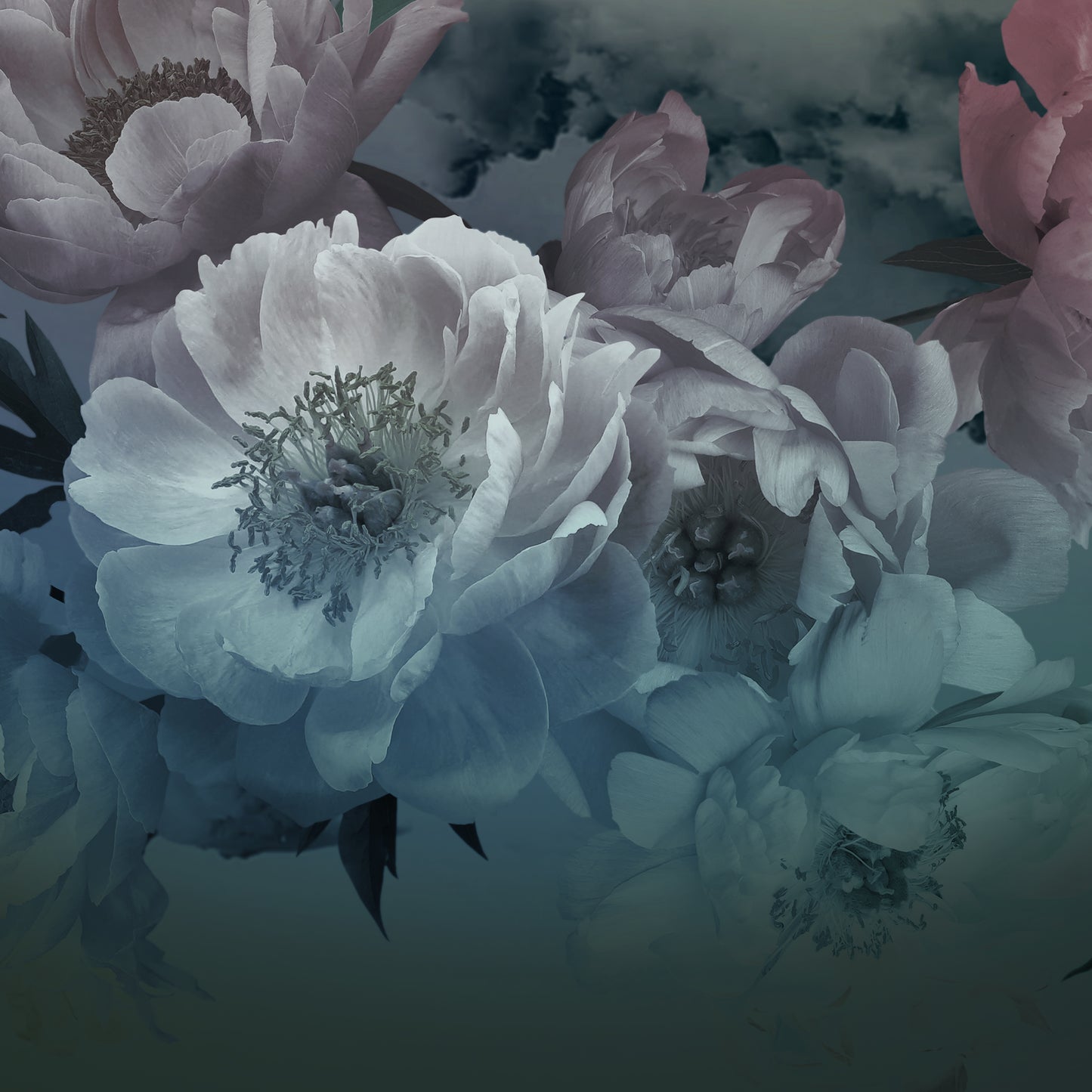 Dreamy Cloud Floral Mural, Pastel Peony & Sky Wall Art