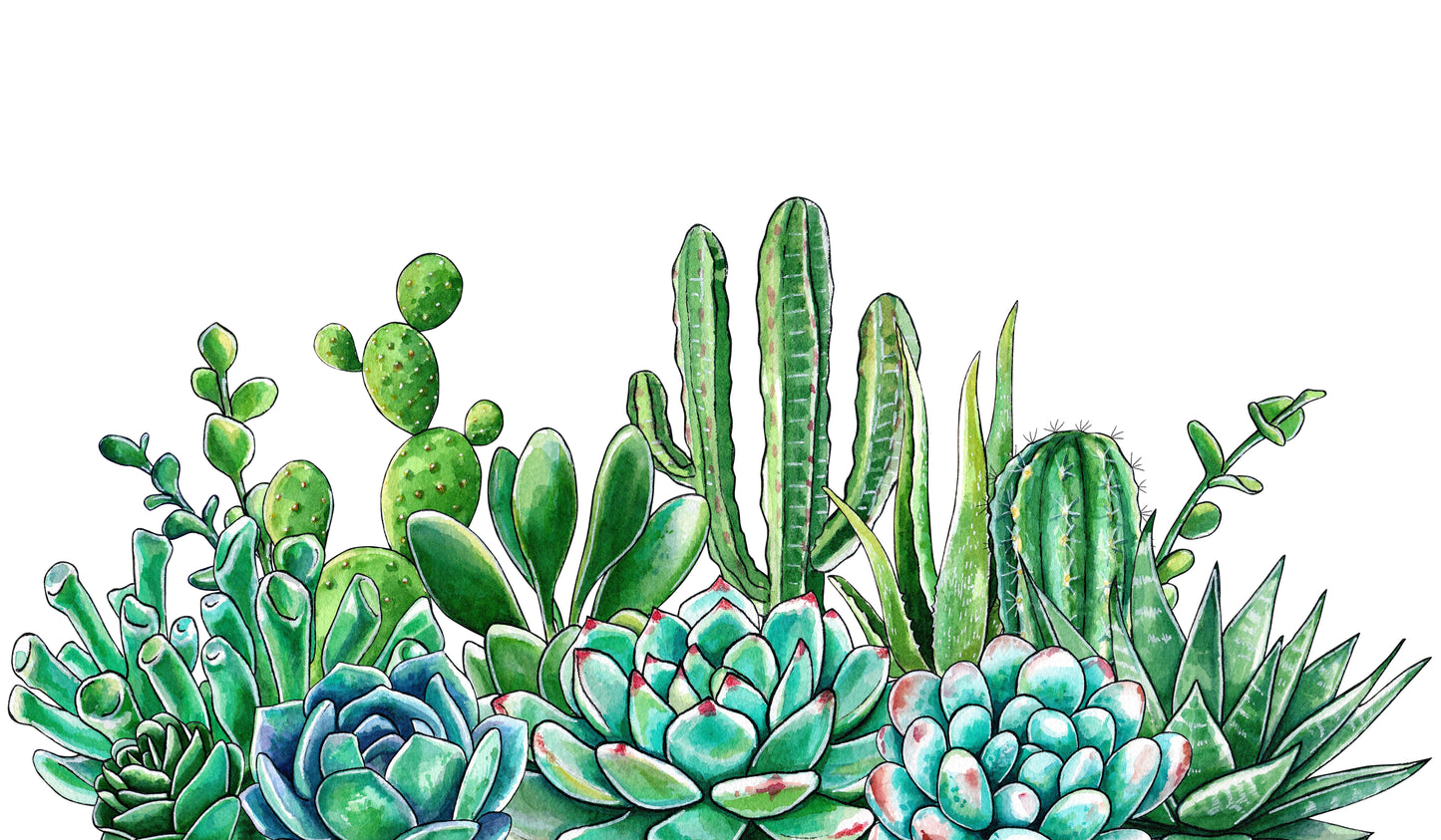 The Desert Oasis: Watercolor Succulent & Cactus Mural