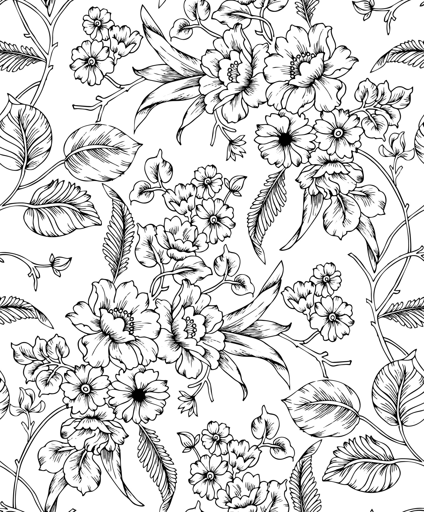 Black and White Elegant Floral Sketch Mural
