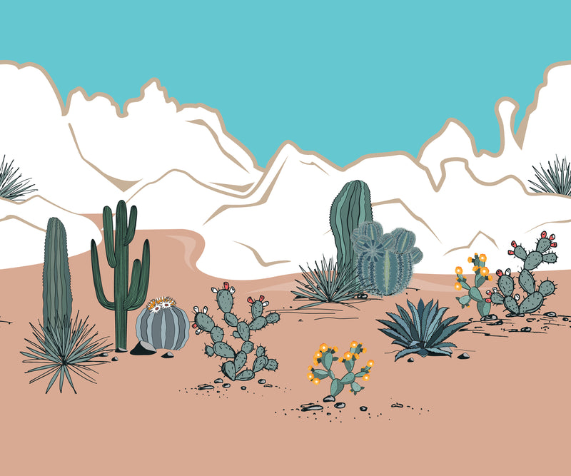 Illustration of a desert landscape with various cacti and mountains.