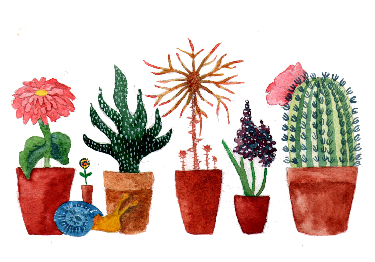 Illustration of various potted plants on a white background