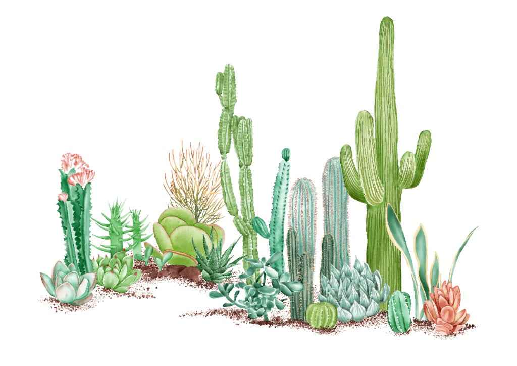 Desert Horizon Panorama Wall Mural - Sage Green Illustrated Cactus Scene