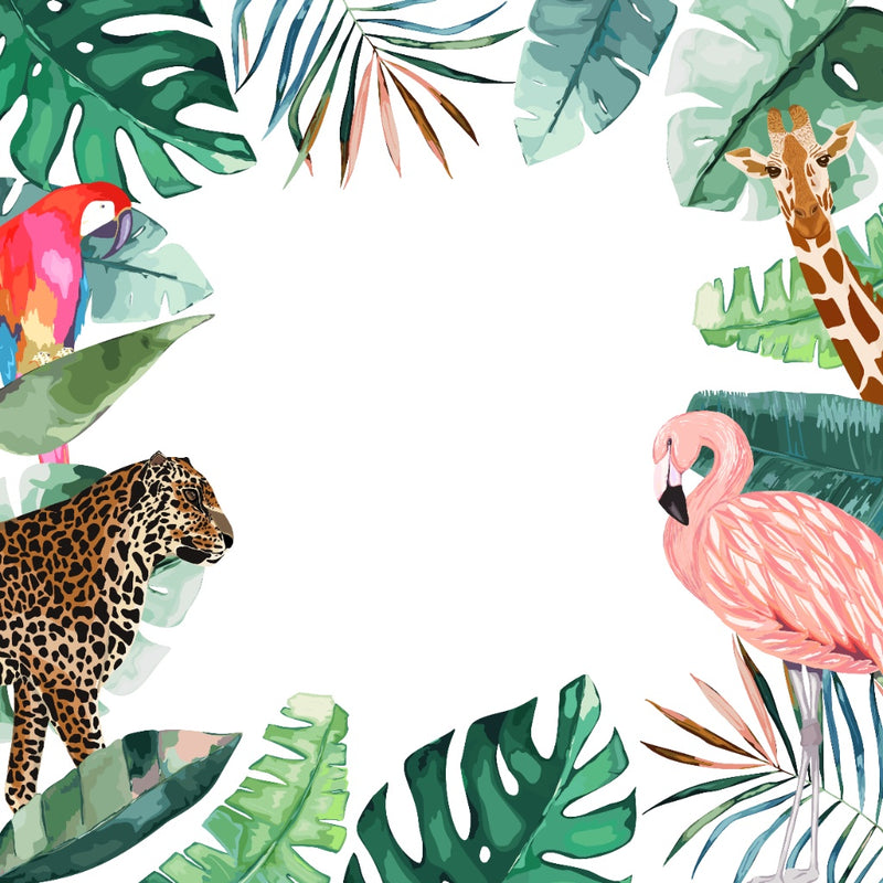 Tropical animals and leaves on a white background