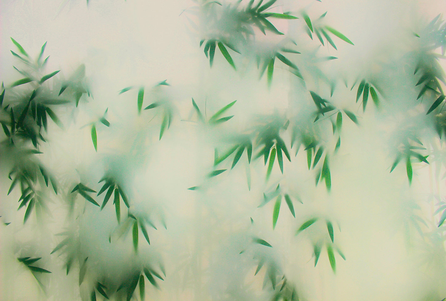 Abstract Bamboo Wall Mural, Misty Green Botanical Wall Art - Dewaar