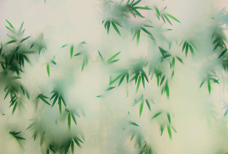 Abstract Bamboo Wall Mural, Misty Green Botanical Wall Art - Dewaar