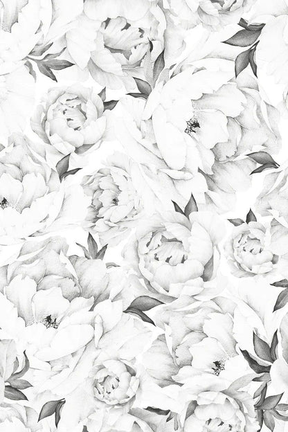 Large Black and White Peony Floral Wall Mural