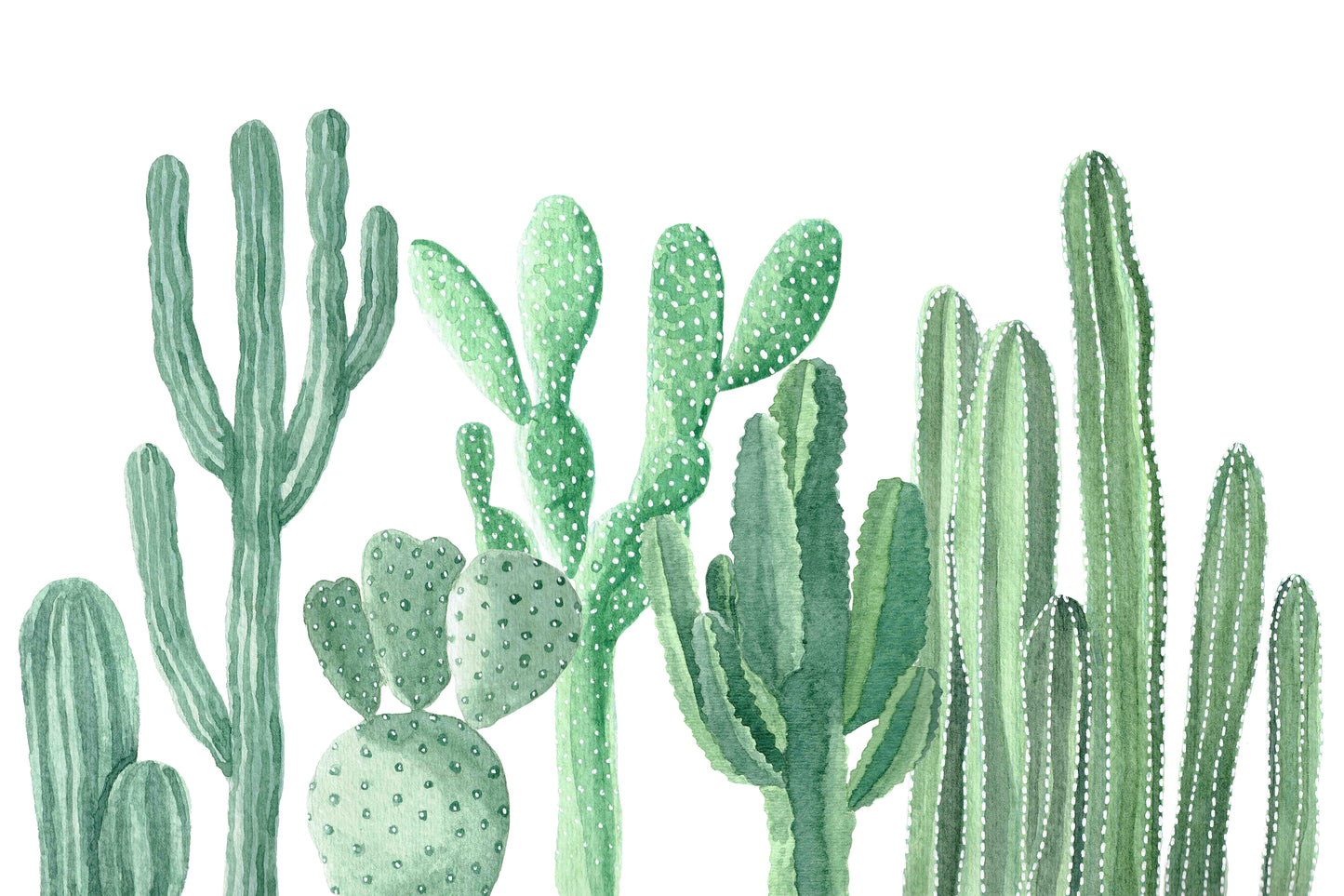 Large Cactus Wall Mural, Watercolor Desert Succulent Decor