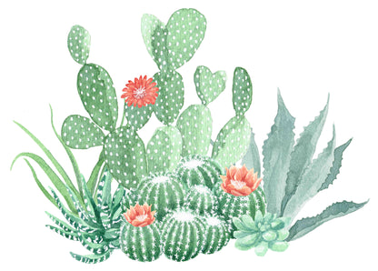 Large Watercolor Cactus Wall Mural, Desert Succulent Wall Decor