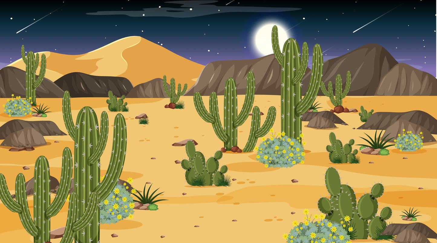 Cartoon Desert Night Wall Mural, Cactus Landscape