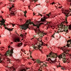 Blossoming Elegance - Image 2