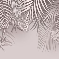 Monochrome Palm Shadow - Image 2