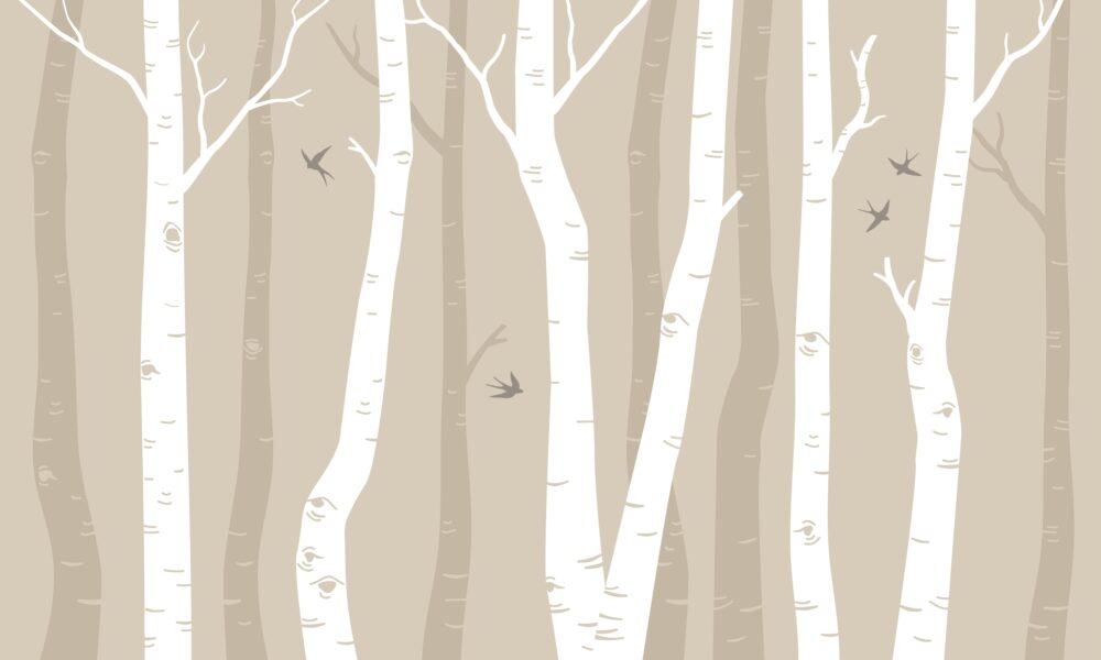 Whispering Birch Grove - Image 2