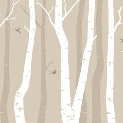 Whispering Birch Grove - Image 2